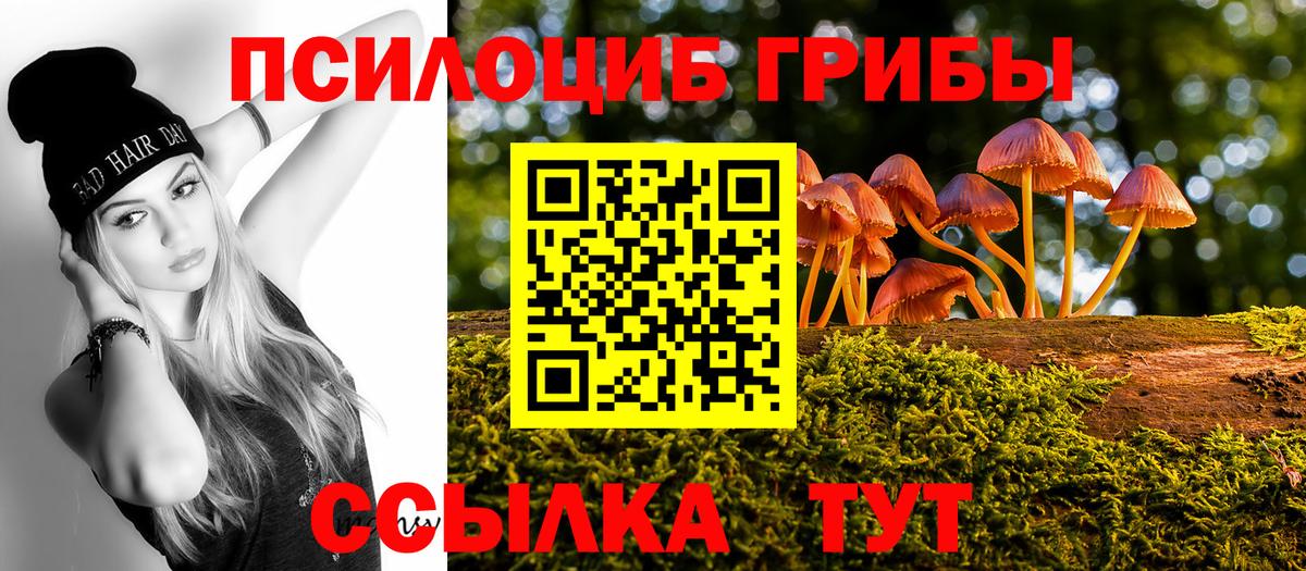 Псилоцибиновые грибы Psilocybine cubensis  Вход с VPN  Боровичи 