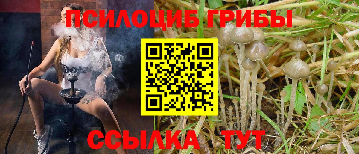 Псилоцибиновые грибы ЛСД Боровичи